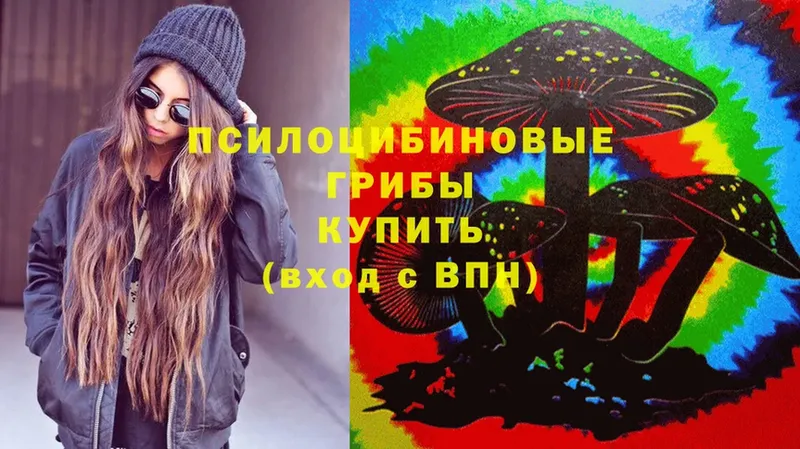 Галлюциногенные грибы Psilocybe  Соликамск 